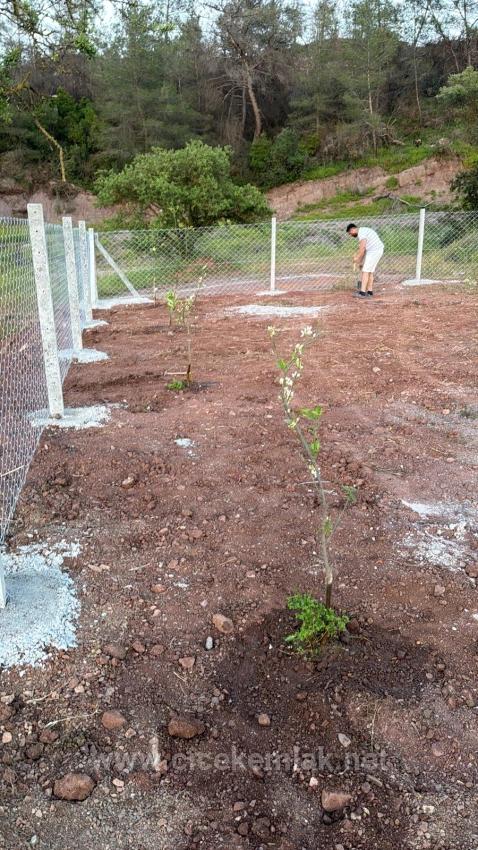 500 M2 Gemeinschaftsgarten Zum Verkauf In Orhanlı, Seferihisar, İzmir