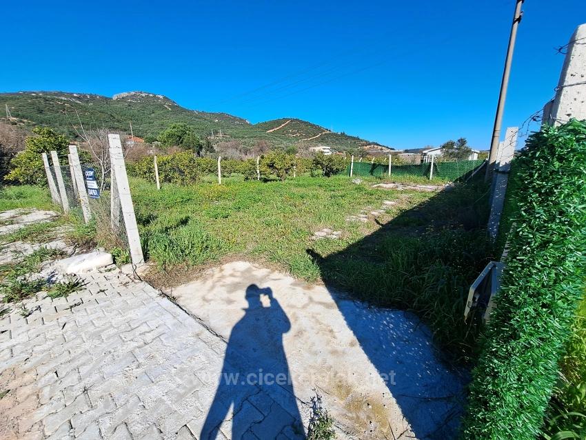 250 M2 Garten Zum Verkauf In Kavaklıdere, Seferihisar, İzmir.
