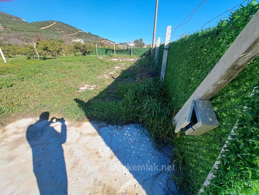 250 M2 Garten Zum Verkauf In Kavaklıdere, Seferihisar, İzmir.