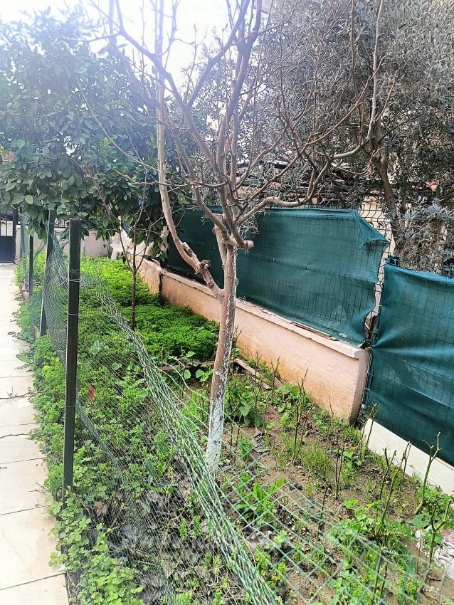 2+1 Wohnung Mit Garten Zum Verkauf Im Zentrum Von Izmir Seferihisar Ürkmez