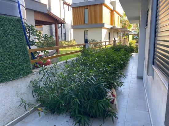 1+1 Wohnung Zum Verkauf In Doğanbey, Seferihisar, İzmir, 150 Meter Vom Meer Entfernt.