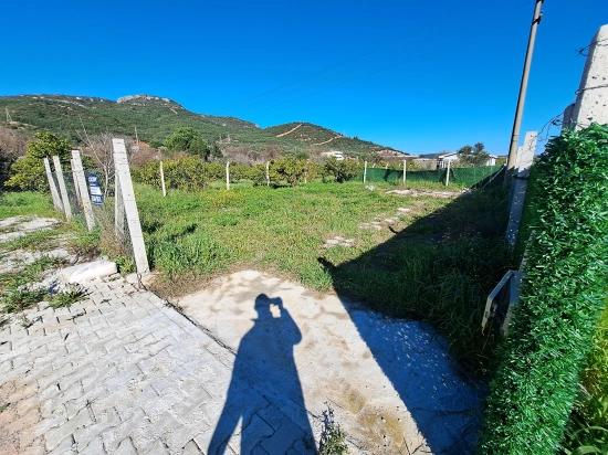 250 M2 Garten Zum Verkauf In Kavaklıdere, Seferihisar, İzmir.