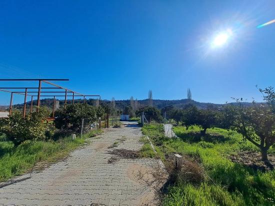 250 M2 Garten Zum Verkauf In Kavaklıdere, Seferihisar, İzmir.