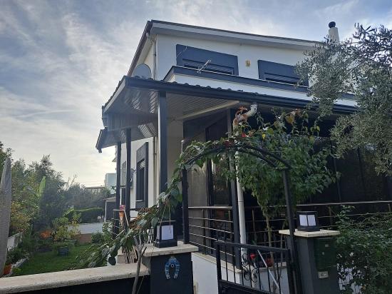 3+1 Villa Zum Verkauf In İzmir Seferihisar Doğanbey