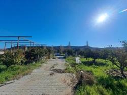 Feld Zu Verkaufen in Kavakdere Bz. Seferihisar - Weinberg & Garten-Zonierung - 250 m²