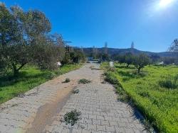 250 M2 Garten Zum Verkauf In Kavaklıdere, Seferihisar, İzmir.