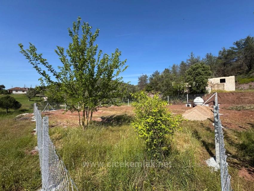 Общий Сад Площадью 500 М2 На Продажу В Орханлы, Сеферихисар, Измир
