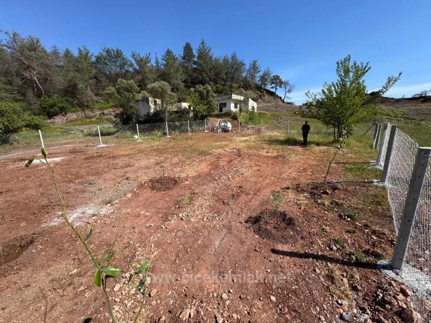 İzmir Seferihisar Orhanlı Da Satılık 500 M2 Hiseli Bahçe
