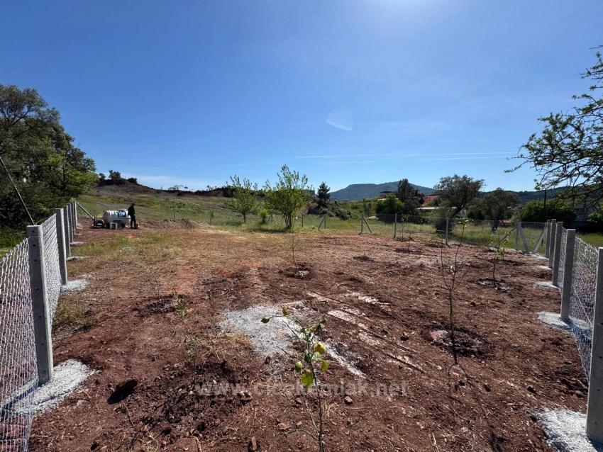 İzmir Seferihisar Orhanlı Da Satılık 500 M2 Hiseli Bahçe