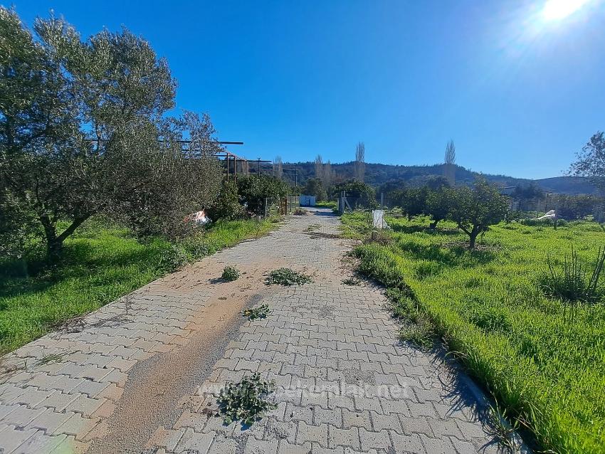 İzmir Seferihisar Kavaklıdere De Satılık 250 M2 Bahçe