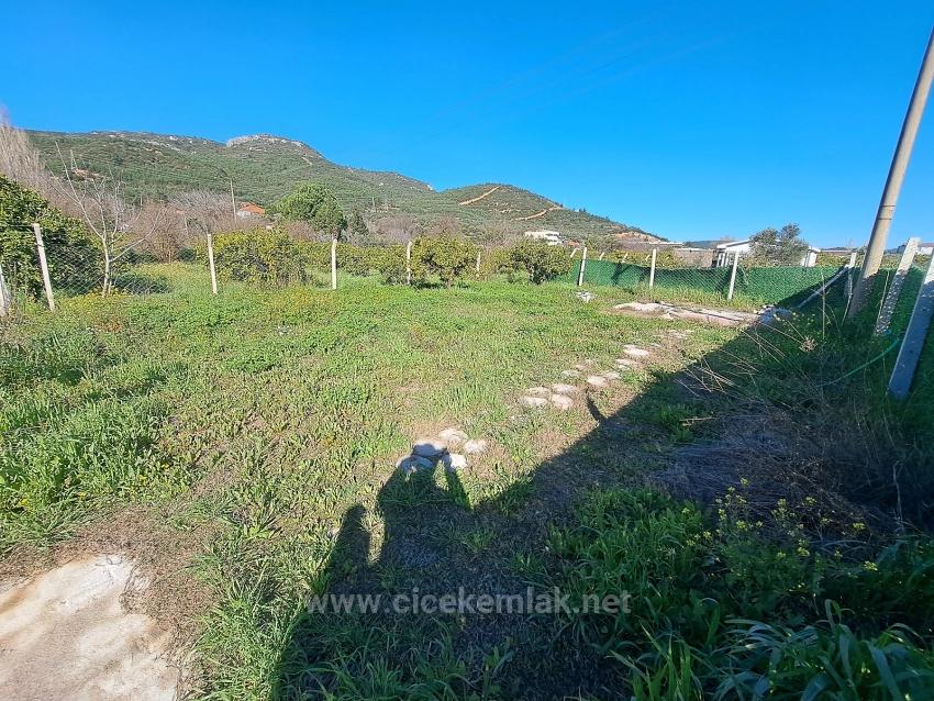 İzmir Seferihisar Kavaklıdere De Satılık 250 M2 Bahçe