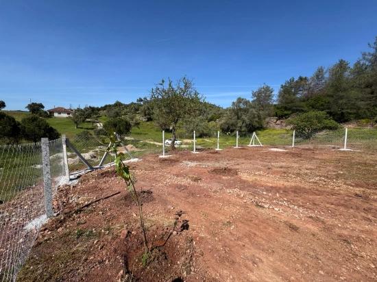 İzmir Seferihisar Orhanlı Da Satılık 500 M2 Hiseli Bahçe